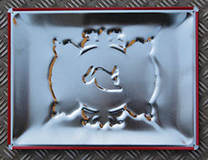 Langcat-Foto-op-Emaille-Wijdenes-Monument-Kunstwerk-1