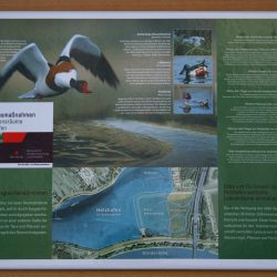 Langcat-Foto-op-Emaille-Infobord-Bewegwijzering-Natuurpad